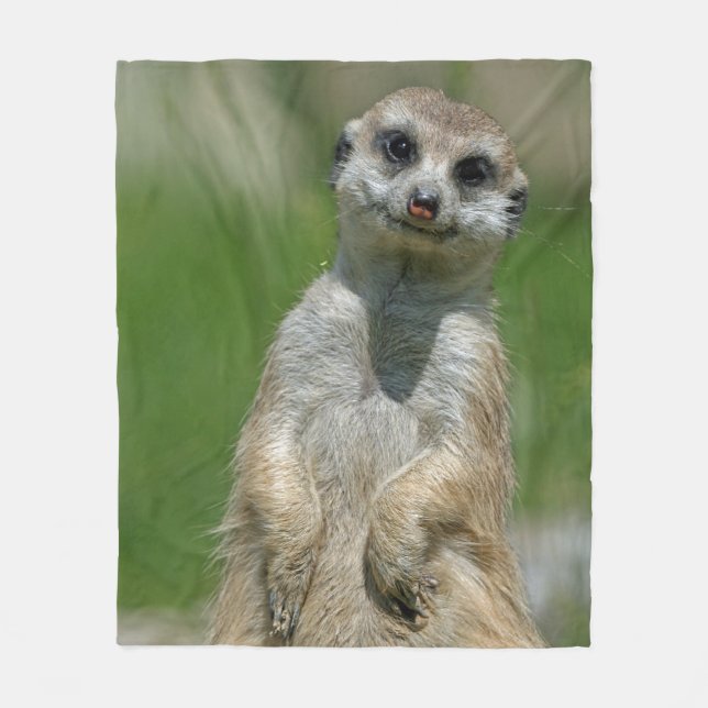 Meerkat 013 fleece blanket (Front)