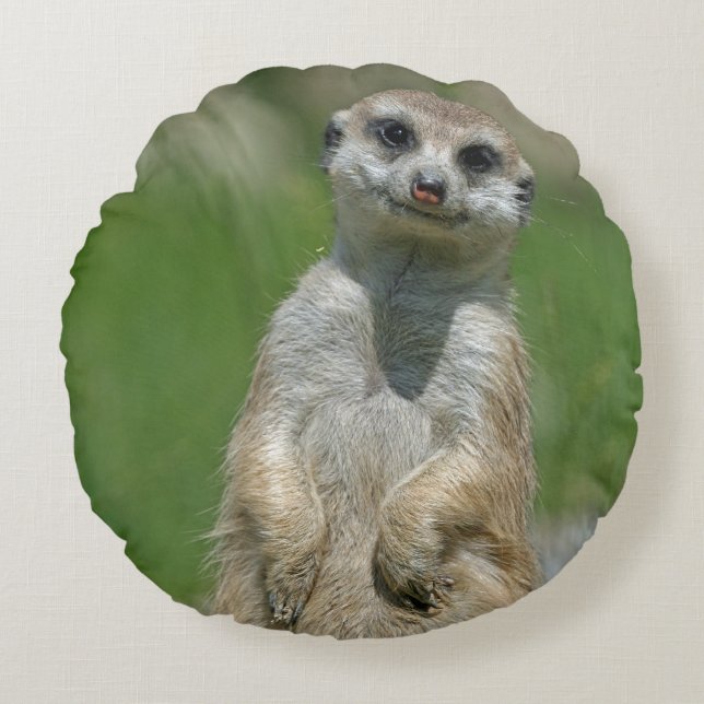 Meerkat 013 round cushion (Front)