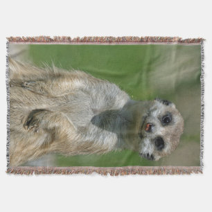Meerkat 013 throw blanket