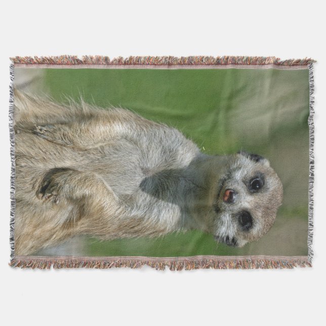 Meerkat 013 throw blanket (Front)