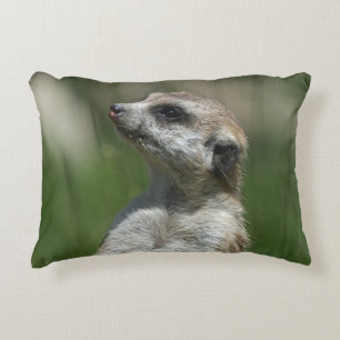 Meerkat 015 decorative cushion