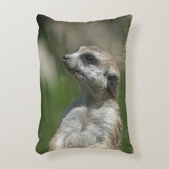 Meerkat 015 decorative cushion (Front(Vertical))