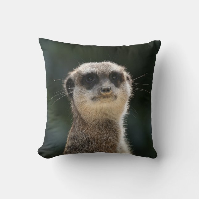 Meerkat 017 cushion (Front)