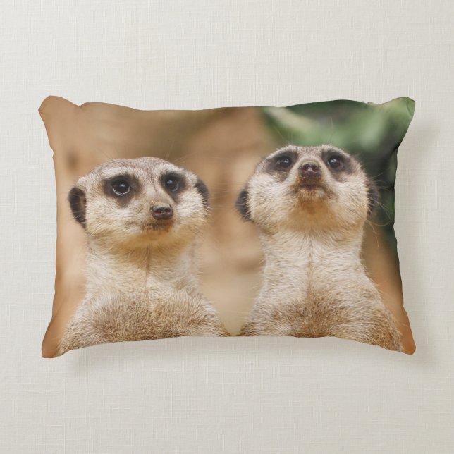 Meerkat 017 decorative cushion (Front)