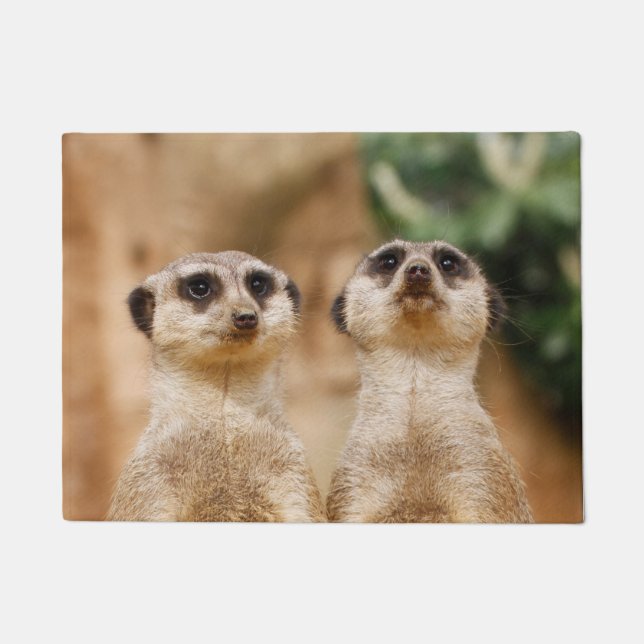 Meerkat 017 doormat (Front)