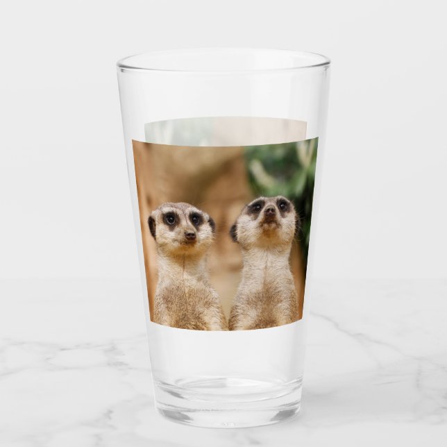 Meerkat 017 glass (Front)