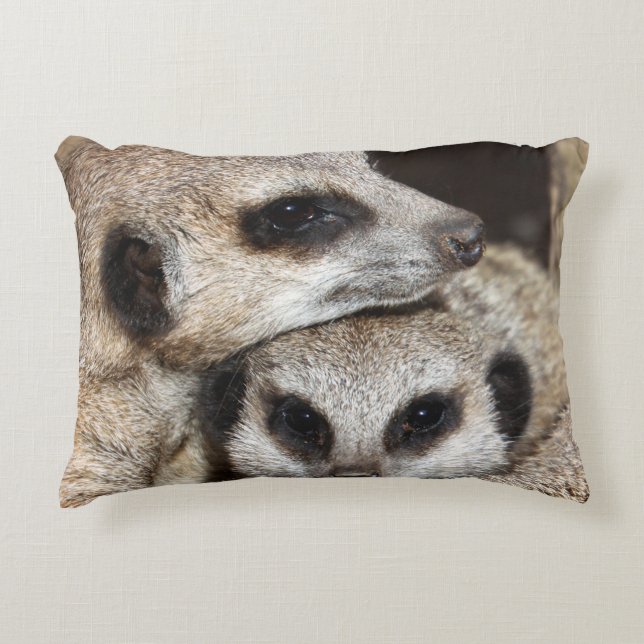 Meerkat 019 decorative cushion (Front)