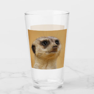 Meerkat 020 glass