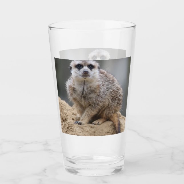 Meerkat 021 glass (Front)