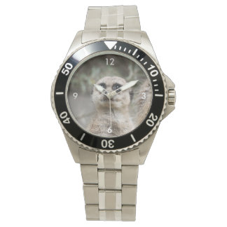 Meerkat_021 Watch