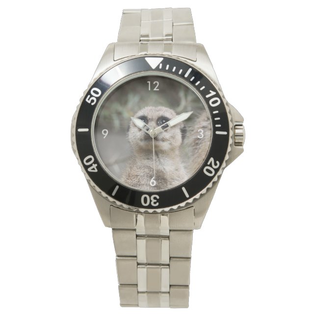 Meerkat_021 Watch (Front)