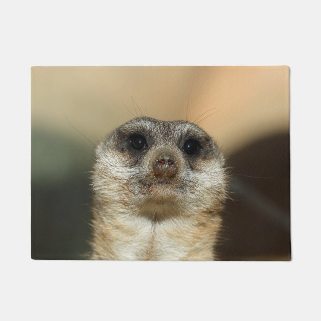 Meerkat 023 doormat (Front)