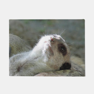Meerkat 024 doormat