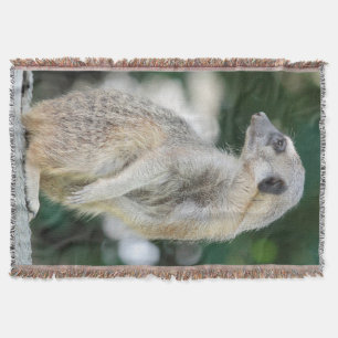 Meerkat 025 throw blanket