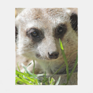 Meerkat 026 fleece blanket