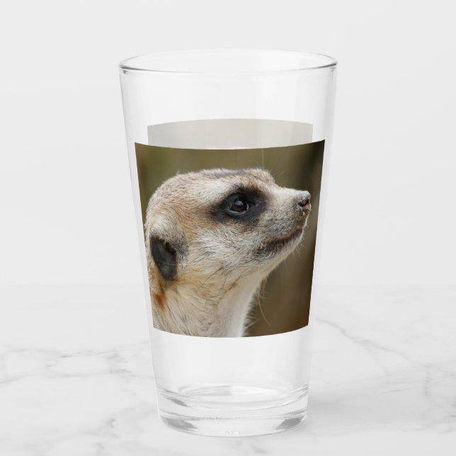 Meerkat 028 glass (Front)