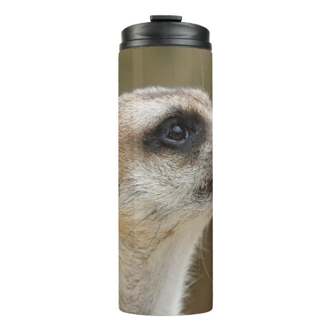 Meerkat 028 thermal tumbler (Front)