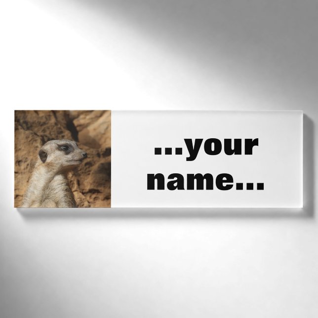 Meerkat 029 name tag (Front)