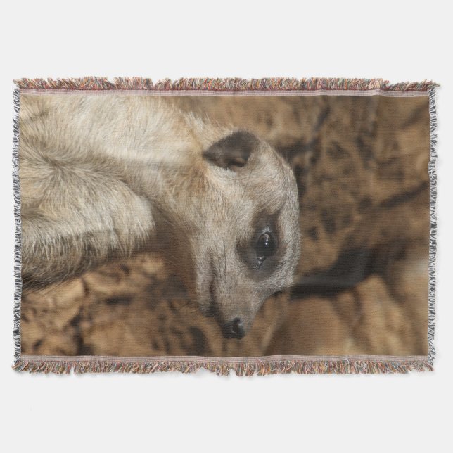 Meerkat 029 throw blanket (Front)