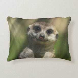 Meerkat 034 decorative cushion