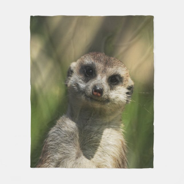 Meerkat 034 fleece blanket (Front)