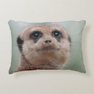 Meerkat 036 decorative cushion