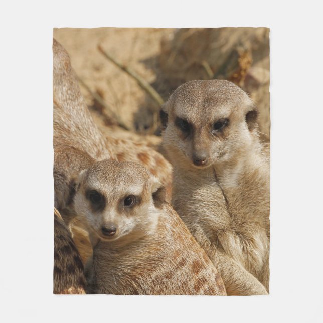 Meerkat 039 fleece blanket (Front)