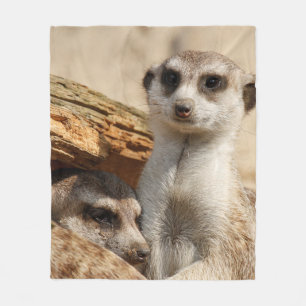 Meerkat 042 fleece blanket