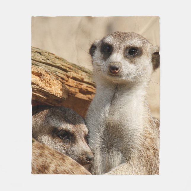 Meerkat 042 fleece blanket (Front)
