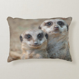 Meerkat 047 decorative cushion