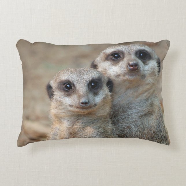 Meerkat 047 decorative cushion (Front)