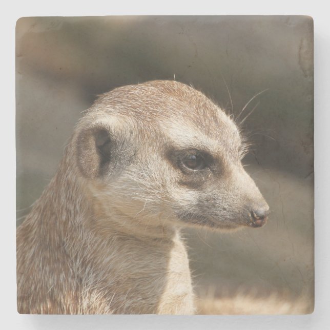 Meerkat 048 stone coaster (Front)