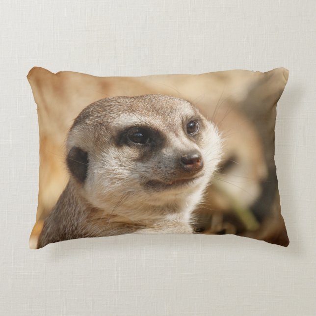 Meerkat 052 decorative cushion (Front)