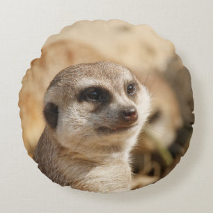 Meerkat 052 round cushion