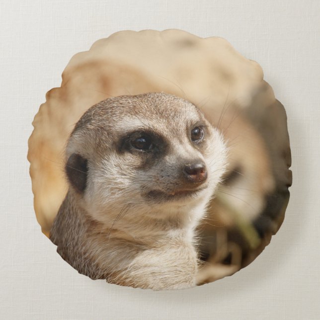 Meerkat 052 round cushion (Front)
