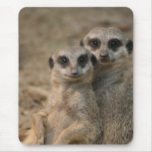 Meerkat 067 mouse mat