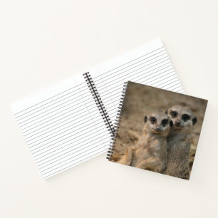 Meerkat 067 notebook