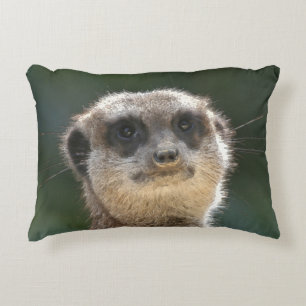 Meerkat 068 decorative cushion