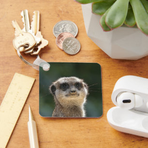 Meerkat 068 key ring