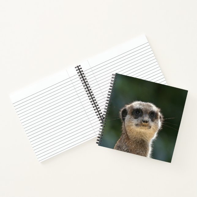 Meerkat 068 notebook (Inside)