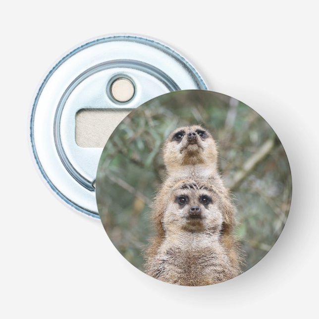 Meerkat 081 bottle opener (Front)