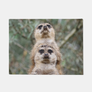 Meerkat 081 doormat
