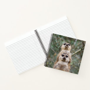 Meerkat 081 notebook