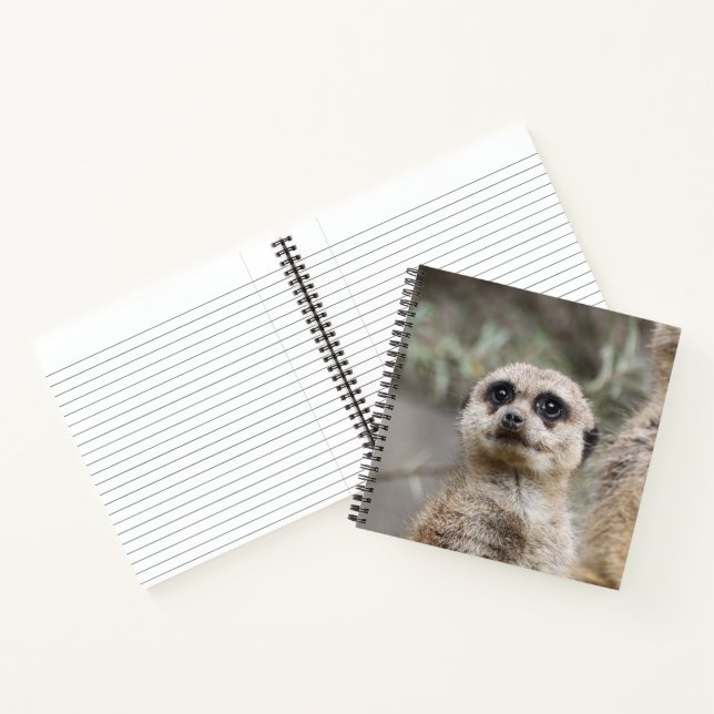 Meerkat 082 notebook (Inside)