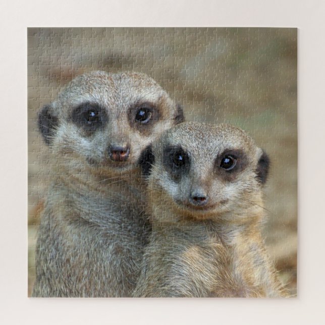 Meerkat 085 jigsaw puzzle (Vertical)