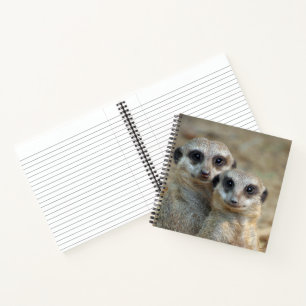 Meerkat 085 notebook