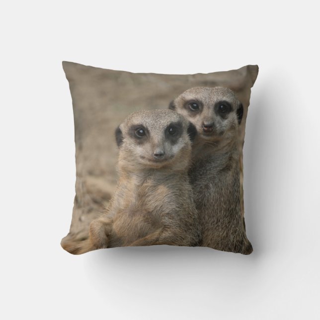 Meerkat 090 cushion (Front)