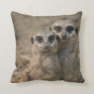 Meerkat 090 cushion
