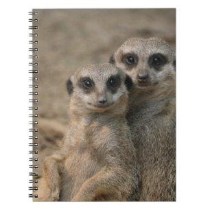 Meerkat 090 notebook