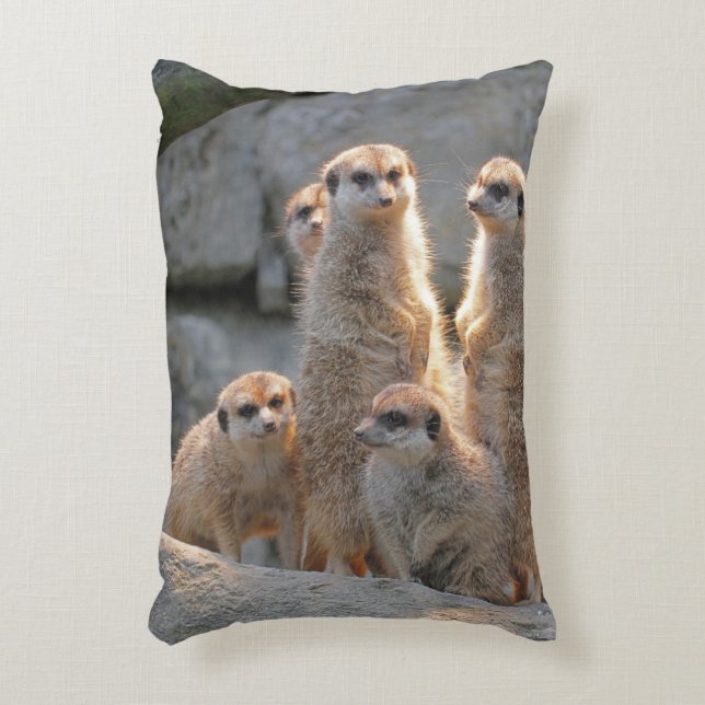 Meerkat 110 decorative cushion (Front(Vertical))